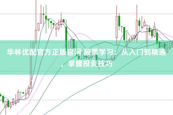 华林优配官方正版官网 股票学习：从入门到精通，掌握投资技巧