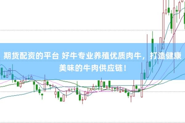 期货配资的平台 好牛专业养殖优质肉牛，打造健康美味的牛肉供应链！
