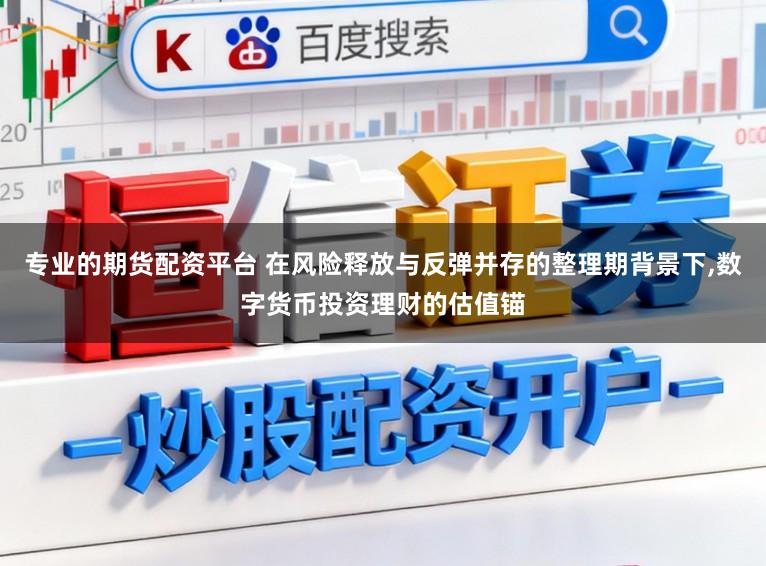 专业的期货配资平台 在风险释放与反弹并存的整理期背景下,数字货币投资理财的估值锚