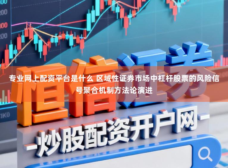 专业网上配资平台是什么 区域性证券市场中杠杆股票的风险信号聚合机制方法论演进