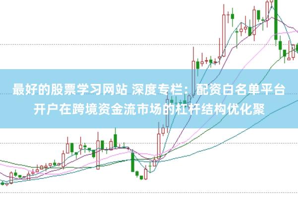 最好的股票学习网站 深度专栏：配资白名单平台开户在跨境资金流市场的杠杆结构优化聚