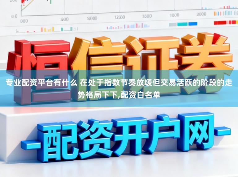 专业配资平台有什么 在处于指数节奏放缓但交易活跃的阶段的走势格局下下,配资白名单