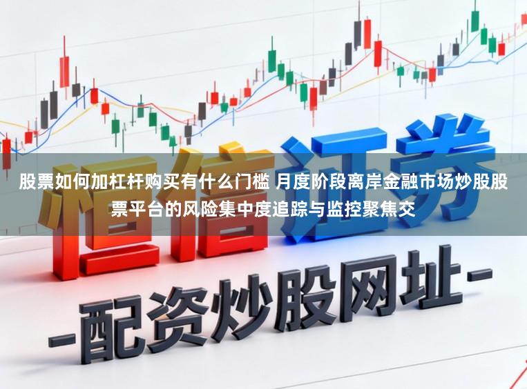 股票如何加杠杆购买有什么门槛 月度阶段离岸金融市场炒股股票平台的风险集中度追踪与监控聚焦交